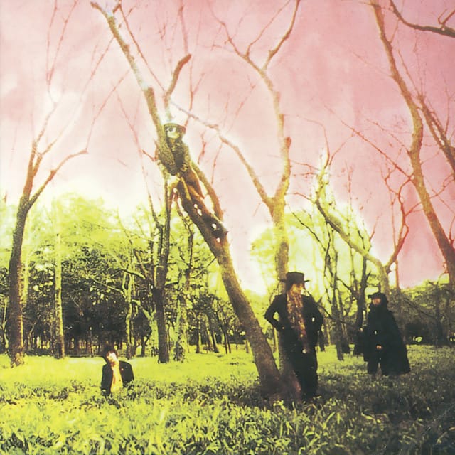 Newest Model - Crossbreed Park