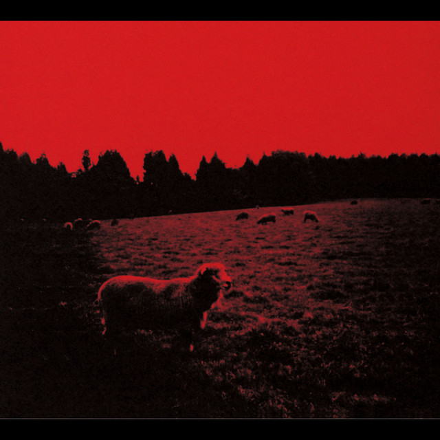 Syrup 16g - Hell-See