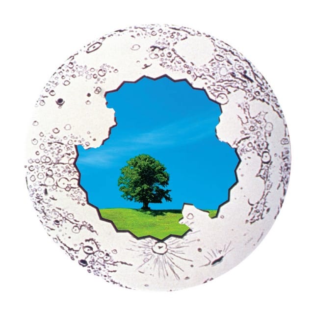 七尾旅人 - ヘヴンリィ・パンク：アダージョ